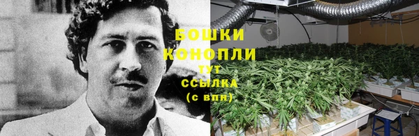 гашишное масло Покачи