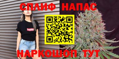 сатива Конаково